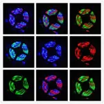 Led Lights With Usb Tv Background Lighting - Image 3