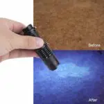 395nm 365nm flashlight detection light - Image 5