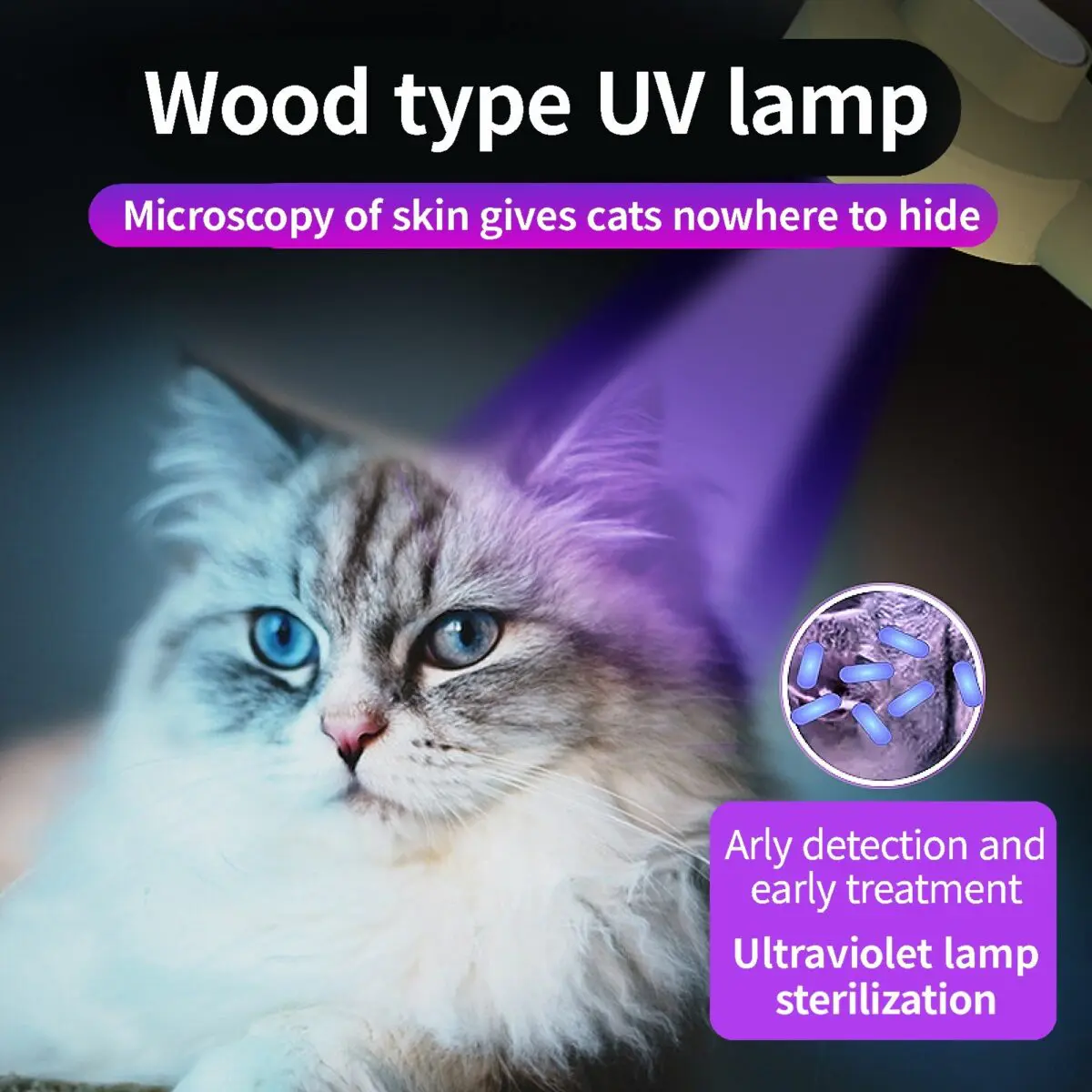 Pet Germicidal Sterilizing Comb Usb Rechargeable Cat Dog Automatic Hair Removal Brush Floating Beauty Comb Grooming Tool - Image 2