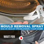 Anti-mildew Activity Foam Mildew Spot Wall Tile Cleaner - Image 3