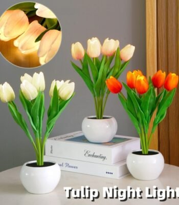 f44b752e d972 4c0d 8a47 9a49dd9d7fb7